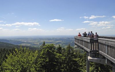 Waldwipfelweg